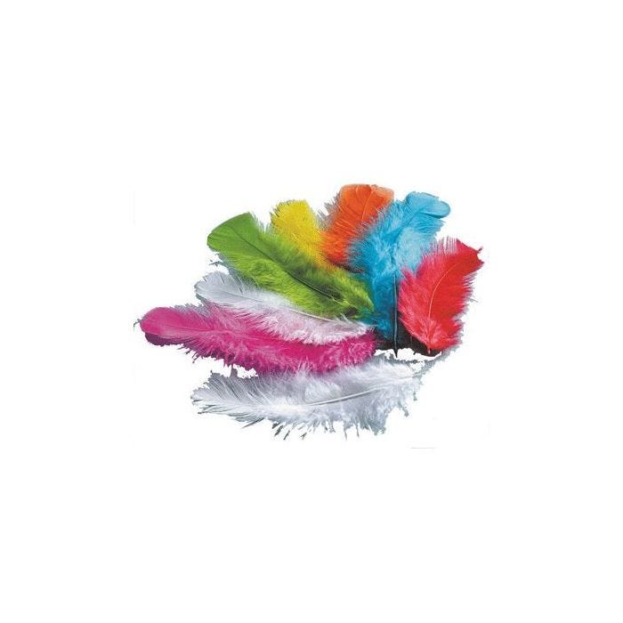 Plume dinde couleur assorti - sachet de 250g