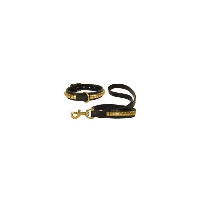 Laisse en cuir - Duna - Taille 1 à 4 - Rivets dorés - Noir - 45 à 60 cm