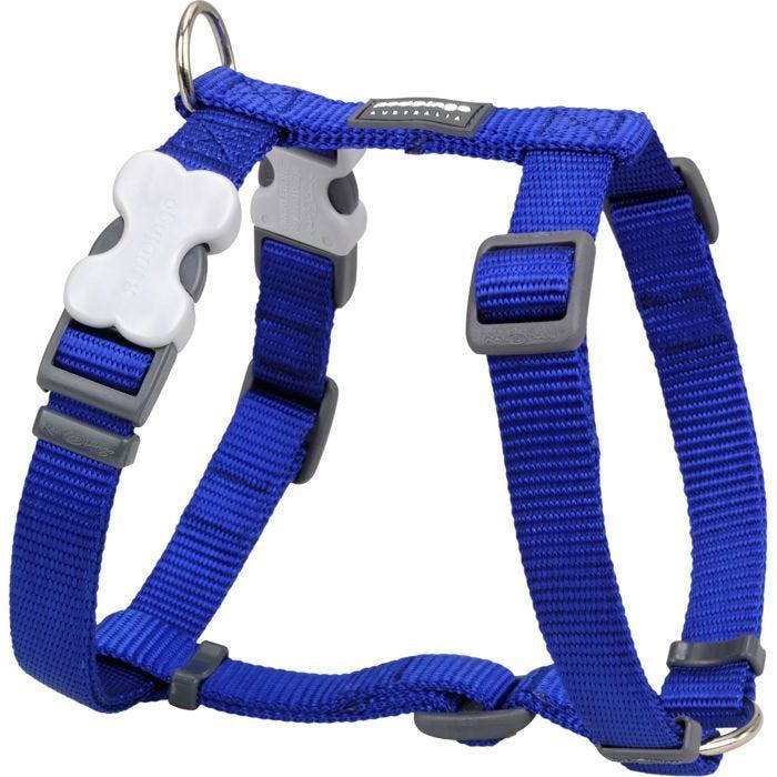 Harnais pour chien - Red Dingo - Bleu - Taille S - Largeur 12 mm - Tour de cou 25-39 cm - Tour de corps 30-44 cm