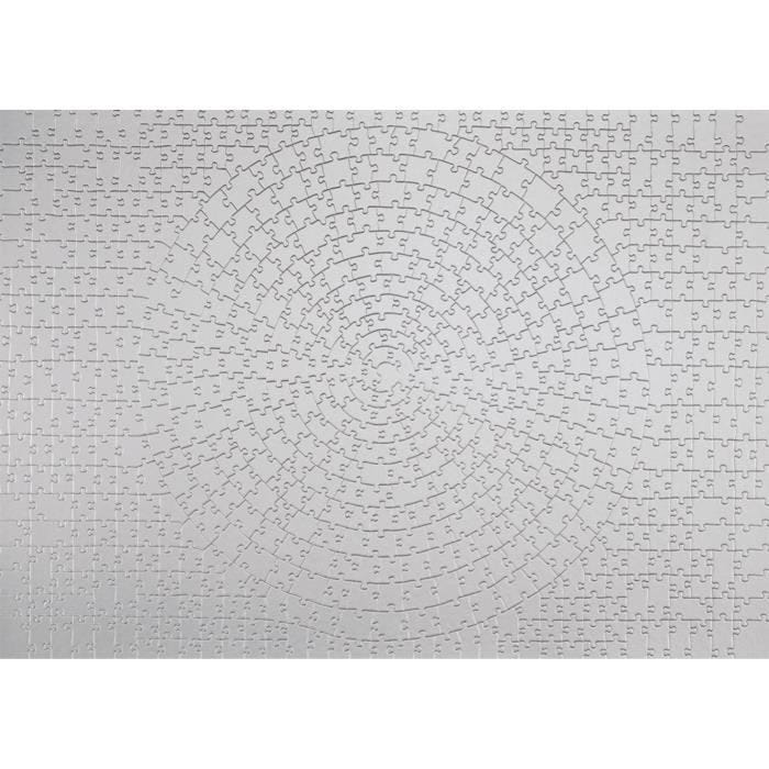 Puzzle 654 pièces Krypt Silver, Adultes & enfants dès 14 ans, Challenge monochrome, 12000071, Ravensburger