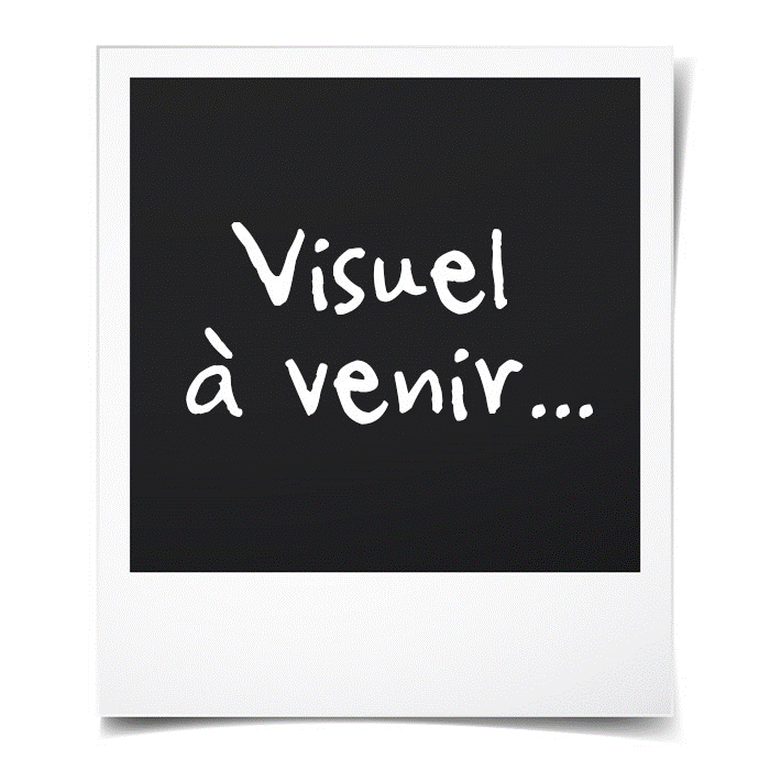Autosol 11 051210 Bateau en métal Vernis Liquide, 250 ML