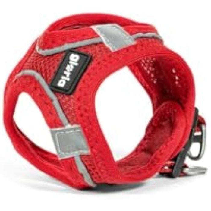 Harnais pour Chien - GLORIA - Trek Star - Rouge - Taille L - 33,4-35 cm, 51-52 cm