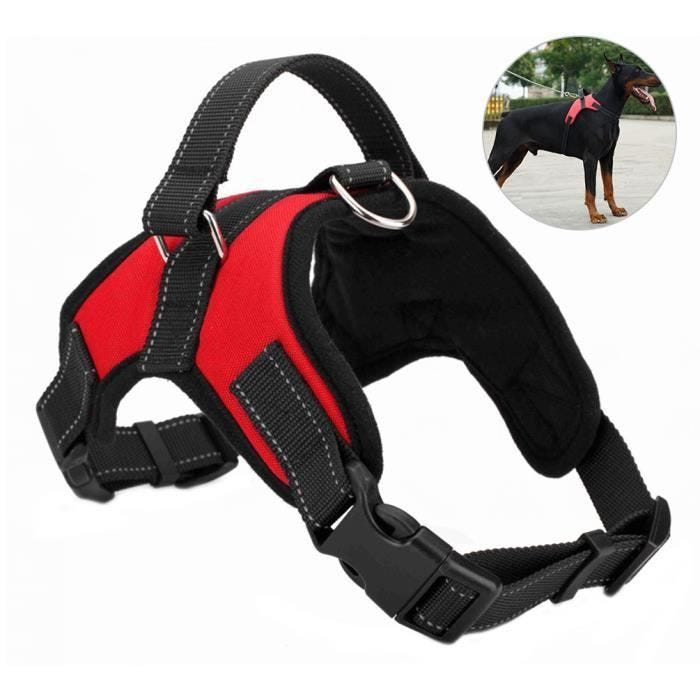 Harnais chien - PETACC - Réglable - Rouge - Taille M - Ultra confortable