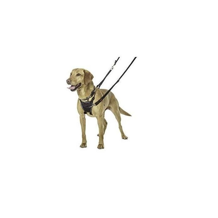 Harnais pour chien - HALTI - No Pull Harness - Taille Moyen - Couleur Noir - Utilisation Extérieure
