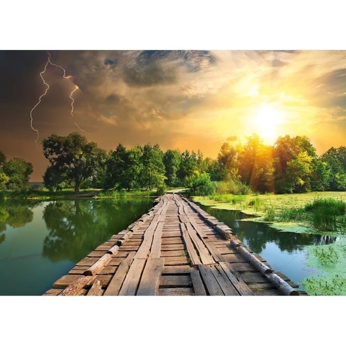 Puzzle 1000 pièces Lumière mystique, Adultes et enfants, Dès 14 ans, Puzzle de qualité supérieure, 12000305, Ravensburger