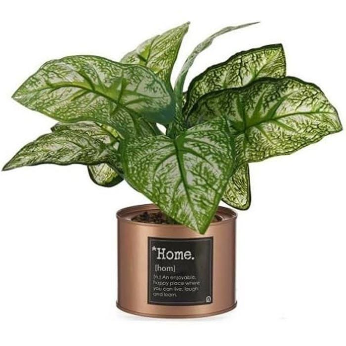 Plante - IBERGARDEN - Multicolore - Dimensions 47x29x26 cm - Référence S3617837 - Standard