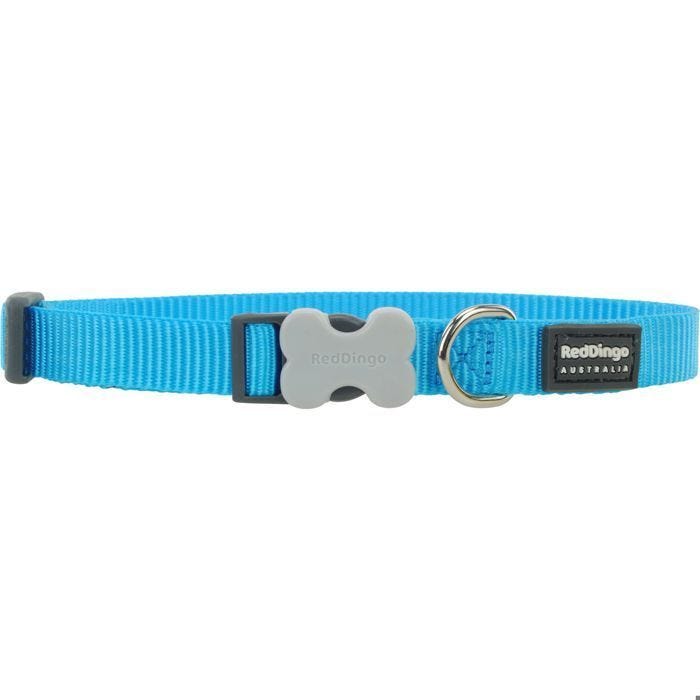 Red Dingo - Collier pour chien - Turquoise Unique