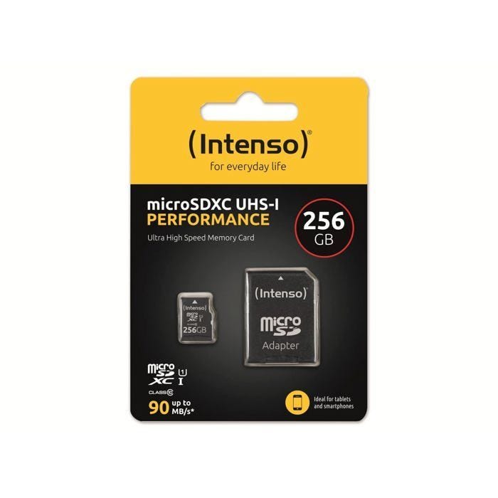 Carte microSD - INTENSO - Performance 256GB - Class 10 - Etanche
