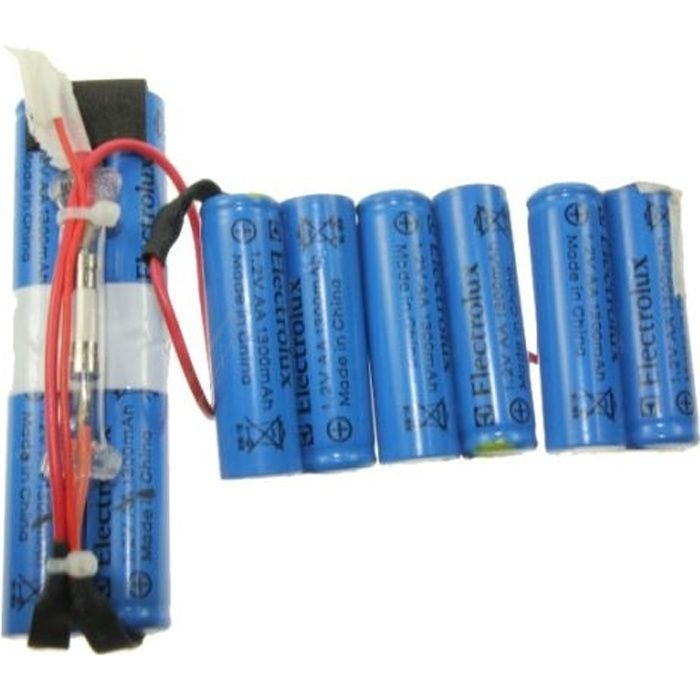 Accessoires d'appareils - ELECTROLUX - ZB2901 - Compatible Aspirateur - ZB2902 - Batterie Ergo Rapido