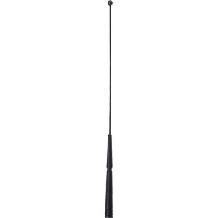 Antenne de voiture - ADNAUTO - 28cm - Noir - Facile à installer - Universelle