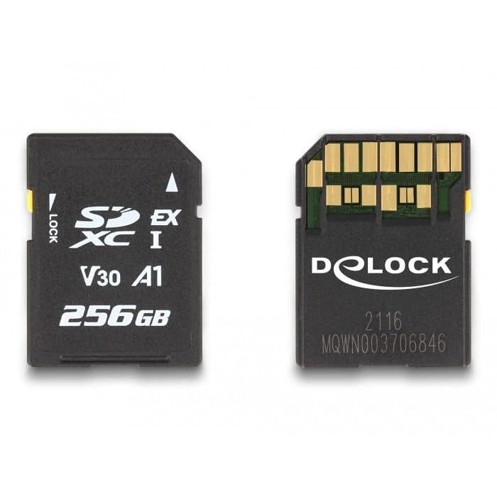 Carte mémoire SD - DeLock - 256 Go - Compatible NVMe - UHS-I - Transferts rapides