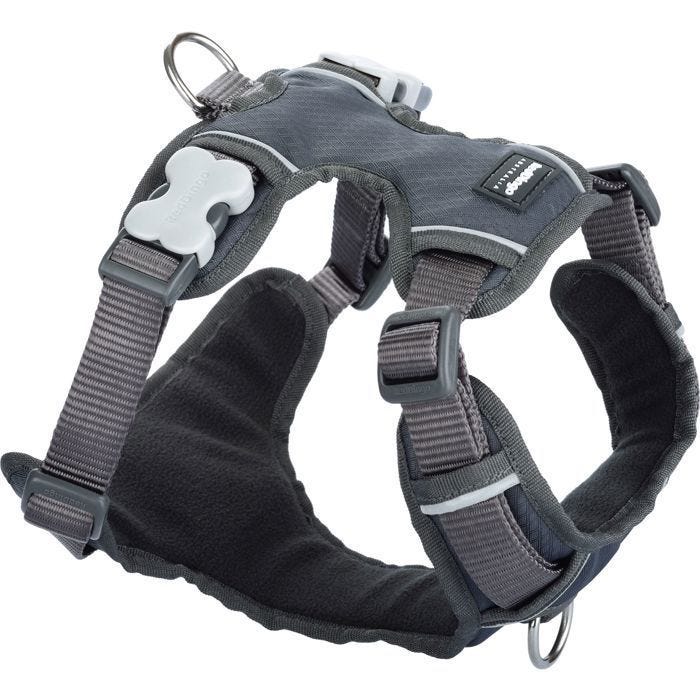 Harnais pour chien - RED DINGO - Sport - Rembourré - 4 ajusteurs - Bandes réfléchissantes