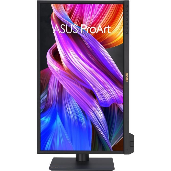 ASUS ProArt PA24US écran plat