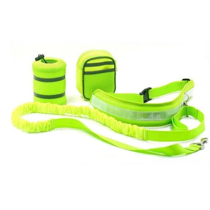 STOEX® Ceinture ventrale avec laisse pour chien vert