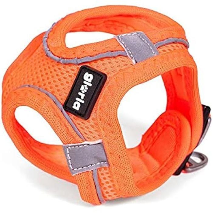 Harnais pour Chien - GLORIA - Trek Star - Réglable - Orange - Taille L (33,4-35 cm)