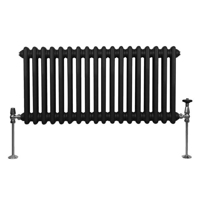 Radiateur Traditionnel à 2 Colonnes Chauffage Horizontal Noir 300 x 832mm