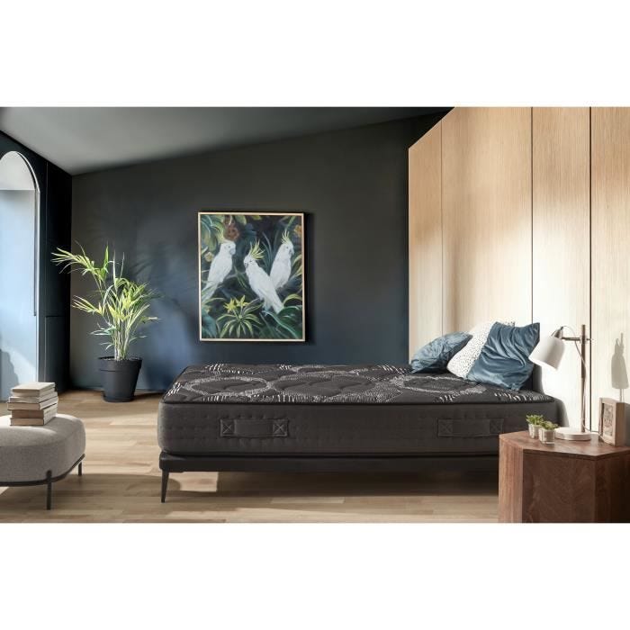 Matelas Madonne Vicogum profilé 105x200 cm