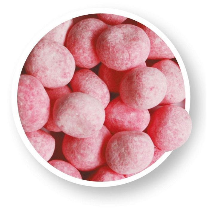 FRAISOO véritable, sachet de 400gr