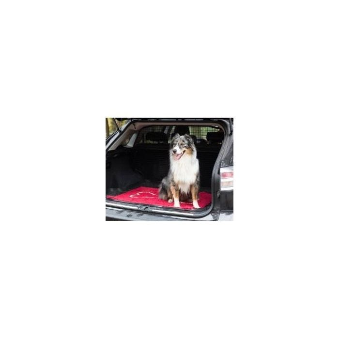 Paillasson Absorbant - DIRTY DOG - Dirty Dog Doormat - Gris - Antidérapant - Microfibre