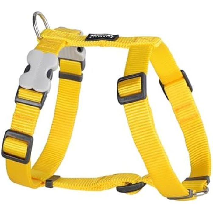 Harnais - RED DINGO - PETRAL lisse - Confort optimal - Sangle avec anneau en D - Finition de qualité supérieure