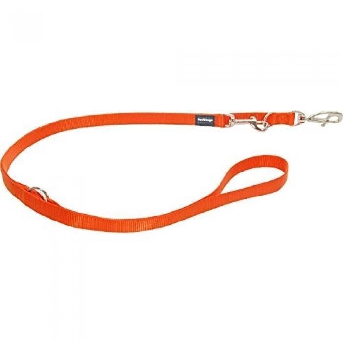 Laisse pour chien - RED DINGO - 3 positions - Nylon - 2 m - Orange