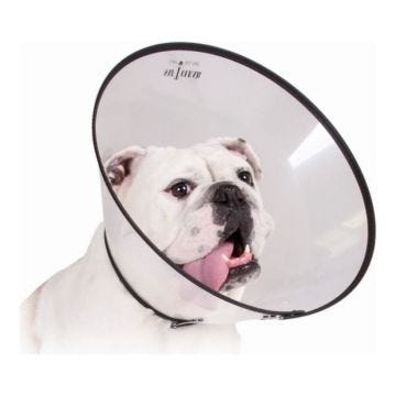 KVP Collier de protection Isabelino pour chiens Saf-T-Clear Transparent (15-23 cm) - 0742061547024