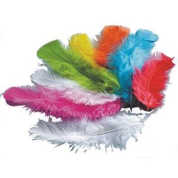 Plume dinde couleur assorti - sachet de 250g