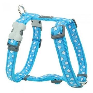 Harnais pour Chien - RED DINGO - Bleu avec Étoiles Blanches - Réglable 45 à 69 cm - Nylon Résistant - 20 mm
