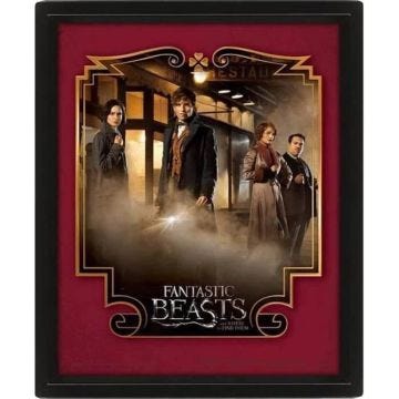 Cadre 3D lenticulaire - Pyramid - Fantastic Beasts - Noir - Mixte - Objets décoratifs