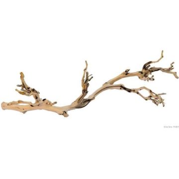 EXO TERRA Décoration Pied de vigne sablé - Grand modèle - Pour terrarium