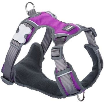 Harnais pour Chien - RED DINGO - Dingo - Violet - Taille S - 30-47 cm