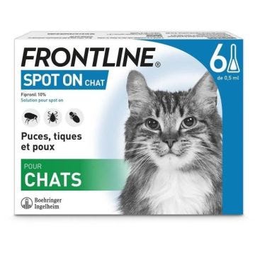 FRONTLINE 6 pipettes Spot On Chat - Puces tiques et poux