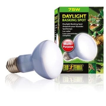 DAYLIGHT BASKINGSPOT lampe 75 W