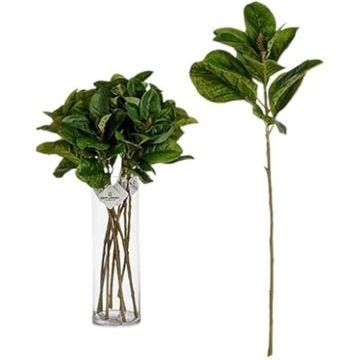 Ibergarden Branche, Multicolore, Standard