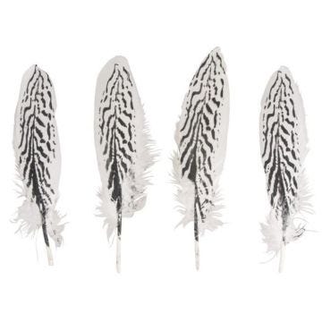 Plume Motif de zèbre 20/22cm x4 - Rayher Blanc