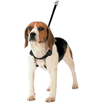 Harnais de dressage - GLORIA - Tir Correcteur - Réglable - Pour chiens - Couleur Brun
