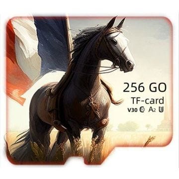 Carte memoire 256go classe10+lecteur+adaptateur