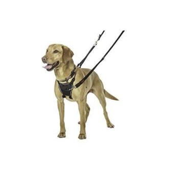 Harnais pour chien - HALTI - No Pull Harness - Câbles et Piquets d'attache - Taille Moyen - Couleur Noir