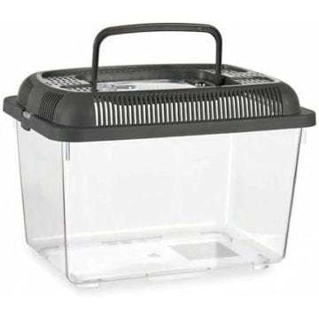 Bocaux à poisson en plastique - Anthracite - Lot de 12 - 3 L - 17 x 16 x 24 cm - Poignée incluse