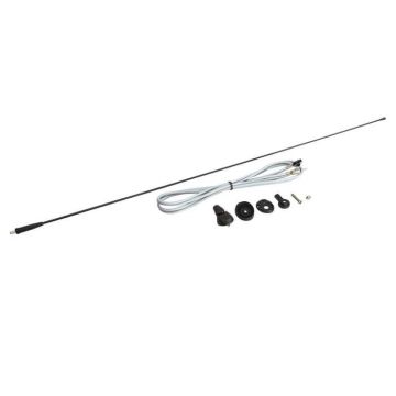 Antenne de toit universelle radio - ACV - Voiture - Universel