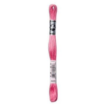 BRODER SPECIAL 12 ECH 20M 603