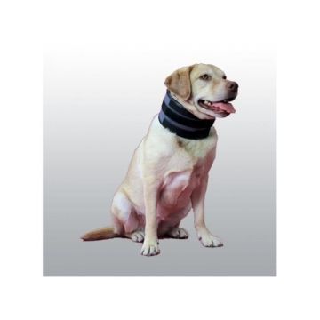 COLLIER BITE FREE L