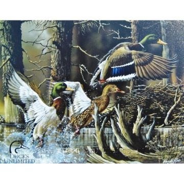 Plaque publicitaire en métal - Nature - envolée de faisant - Multicolore - 41x32cm