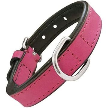 Collier en cuir rembourré avec anneau en forme de D pour chien - GLORIA - Accessoire pour animal - Blanc