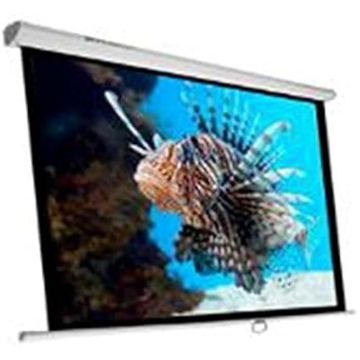 Écran de Projection - PHOENIX TECHNOLOGIES - PHPANTALLA-240 - 135 pouces - Ratio 1:1 - Tissu résistant