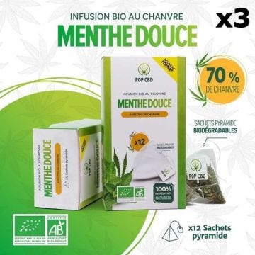 Lot de 3 boîtes d'Infusions Bio "MENTHE DOUCE" en Sachets individuels (3x12), au Chanvre CBD (70%)