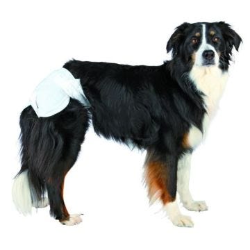 TRIXIE Couches pour chiens taille M/L