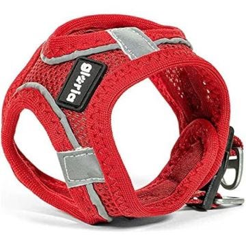 Harnais pour chien - GLORIA - Trek Star - Réglable - Rouge - Taille XXXS (18-20 cm)