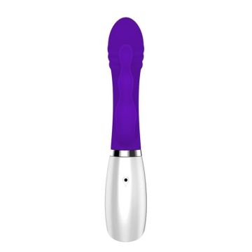 vibrateur Evolved-Ensemble de plugs anal de mots sales