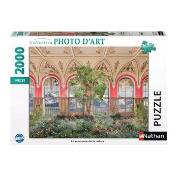 Nathan puzzle 2000 p  La